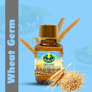 Wheat germ Oil