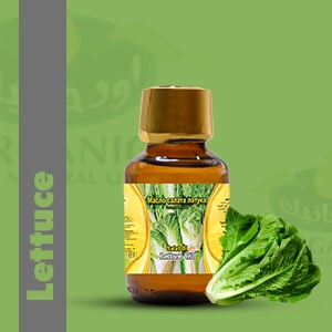 Lettuce Oil
